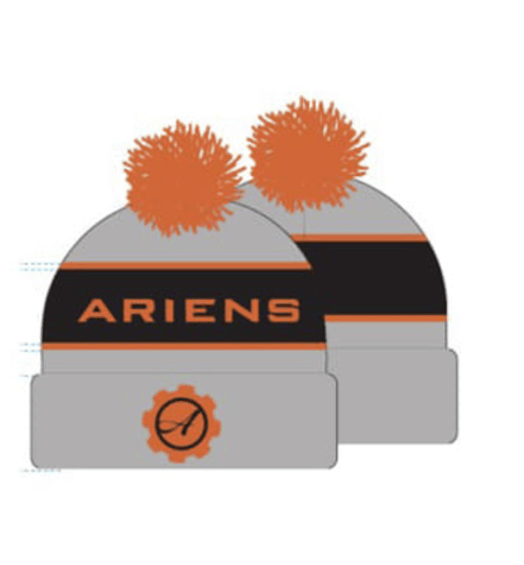 Ariens vinterlue