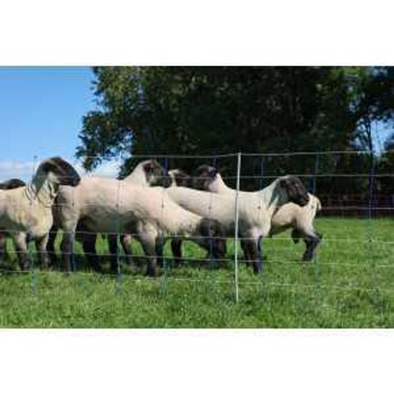 Gjeternetting Pro+ 50m – Maksimal stabilitet for krevende terreng
